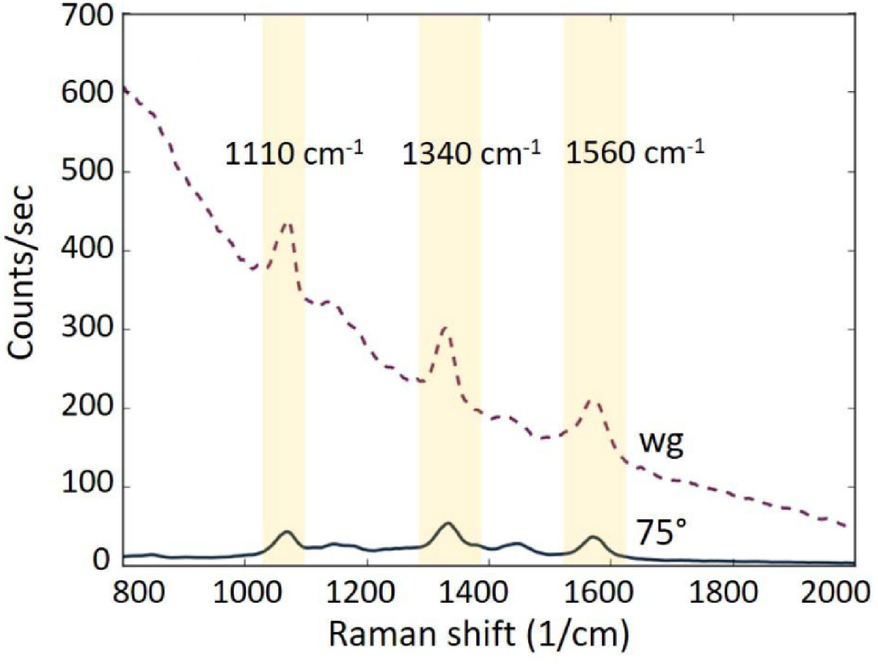 Fig. 17