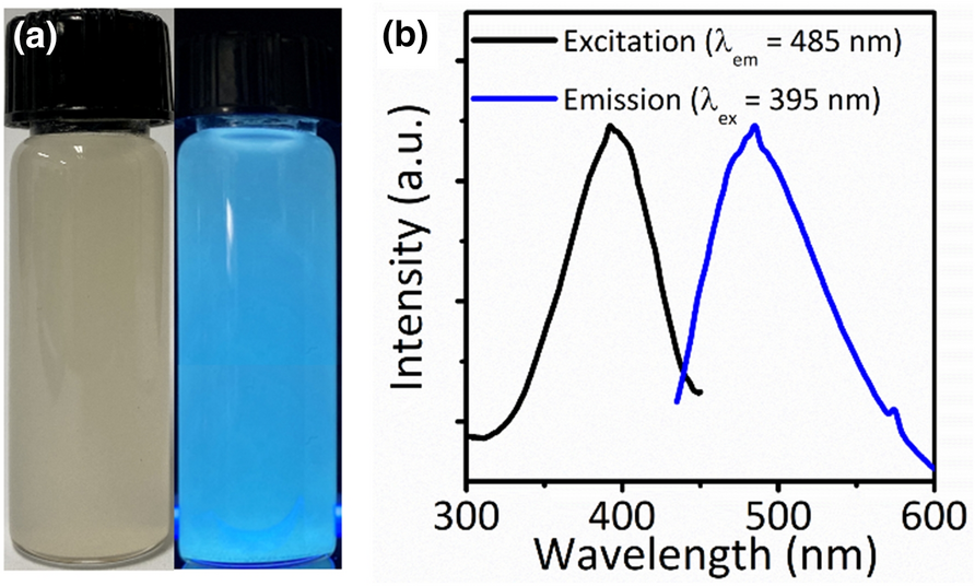 Fig. 3