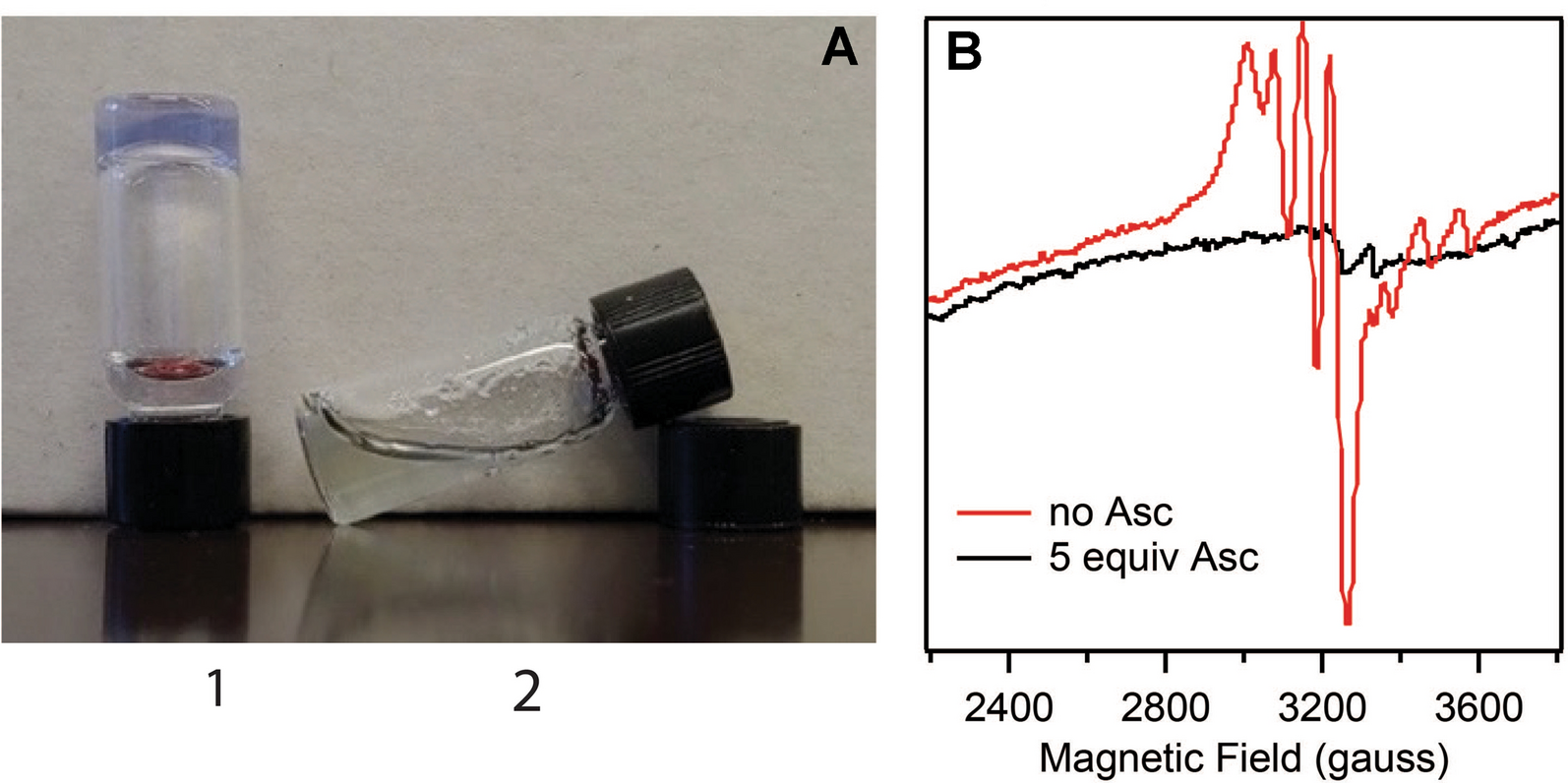 Fig. 2