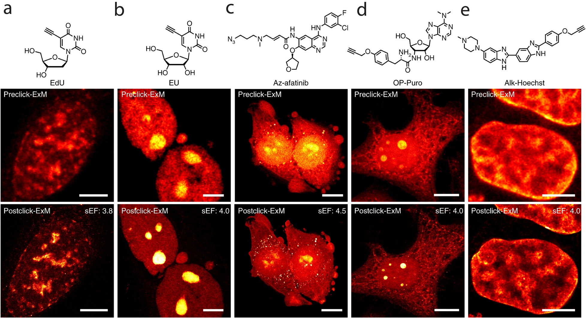 Fig. 12