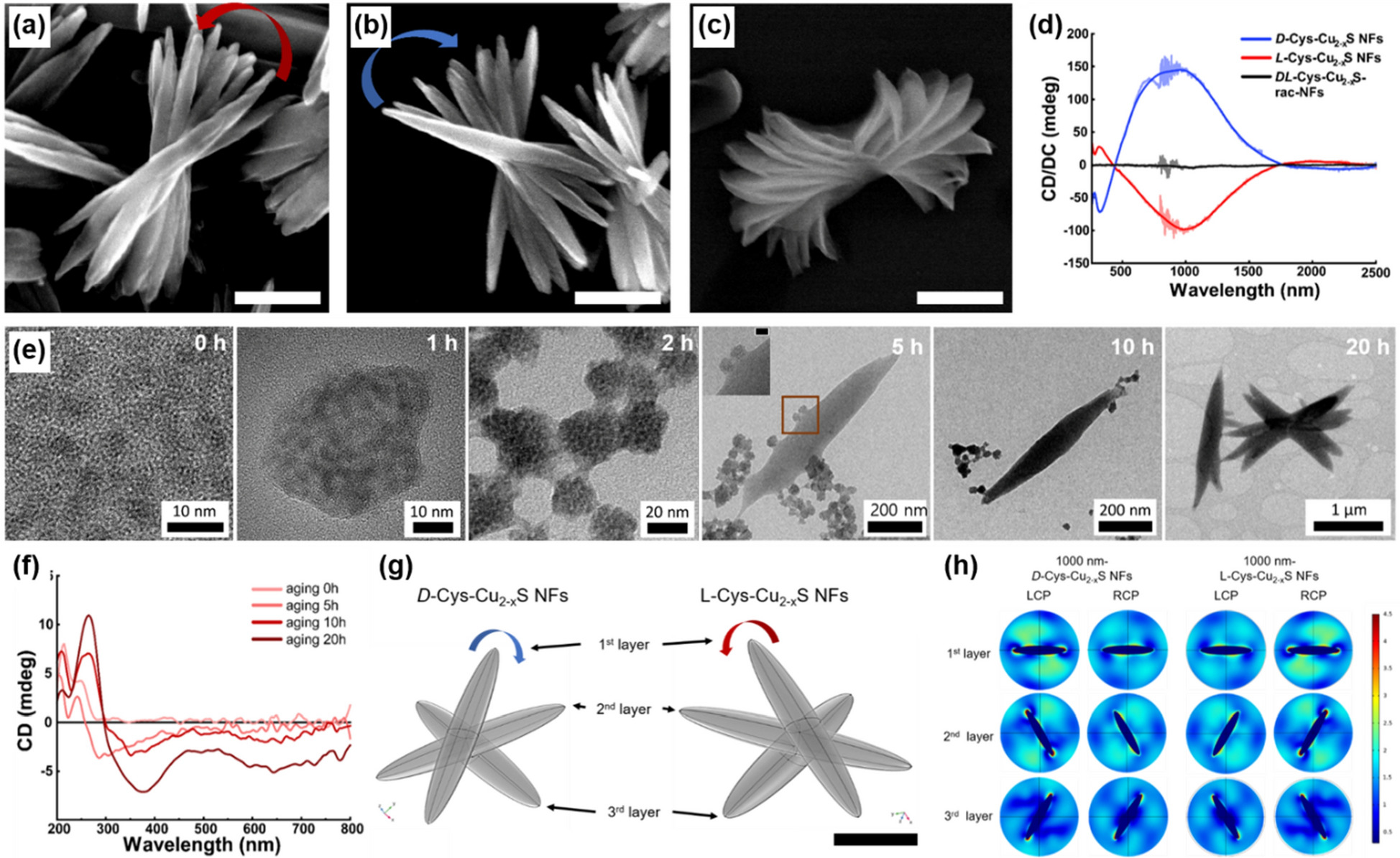 Fig. 18