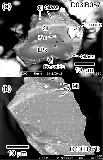 Fig. 10