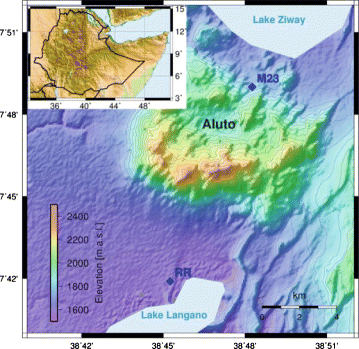 Fig. 5