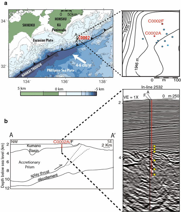 Fig. 1