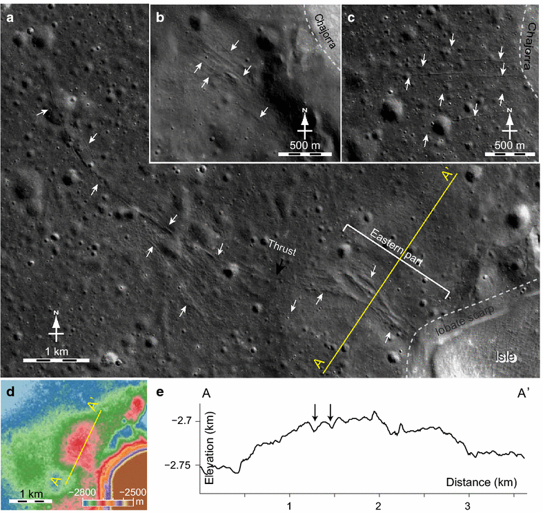 Fig. 14