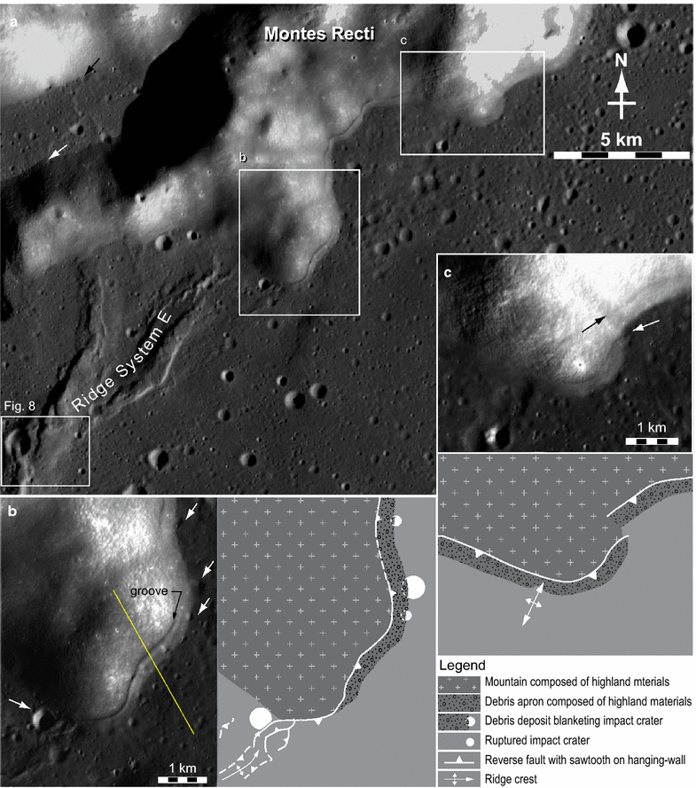 Fig. 8