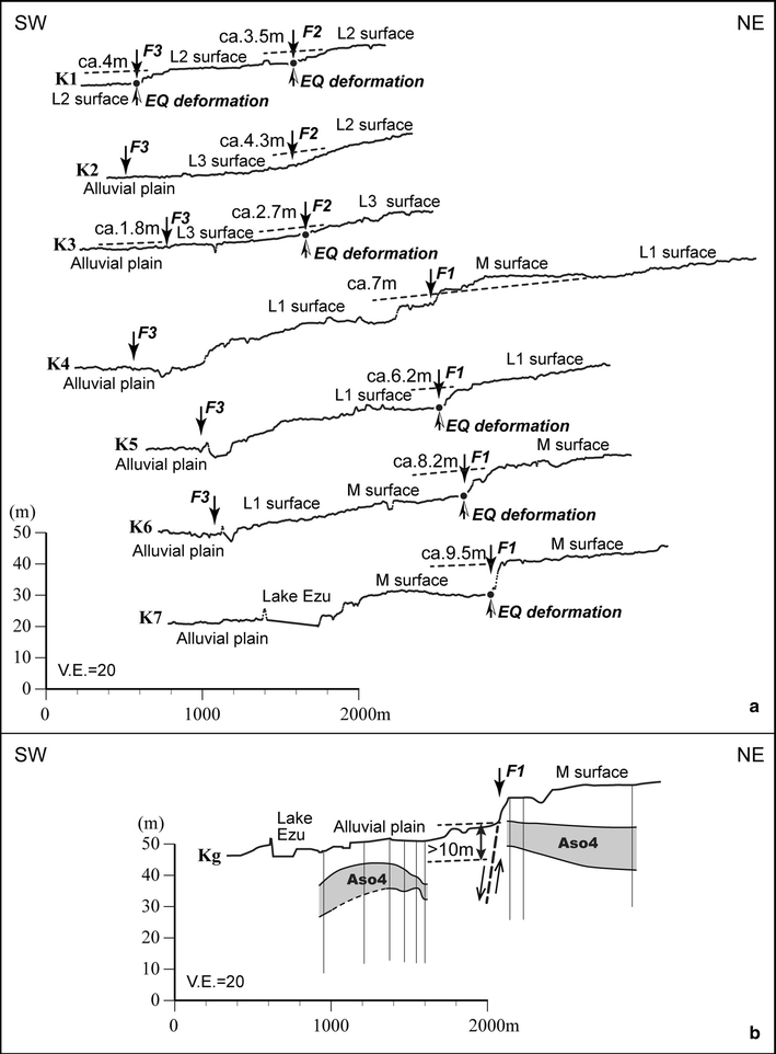 Fig. 4