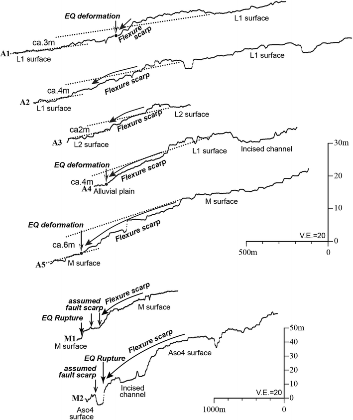 Fig. 5