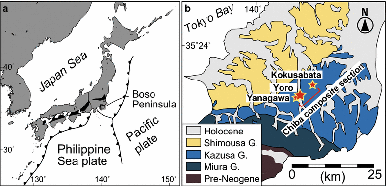 Fig. 1