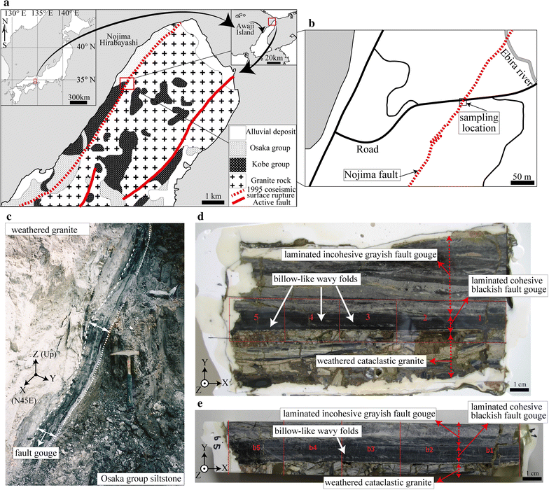 Fig. 1