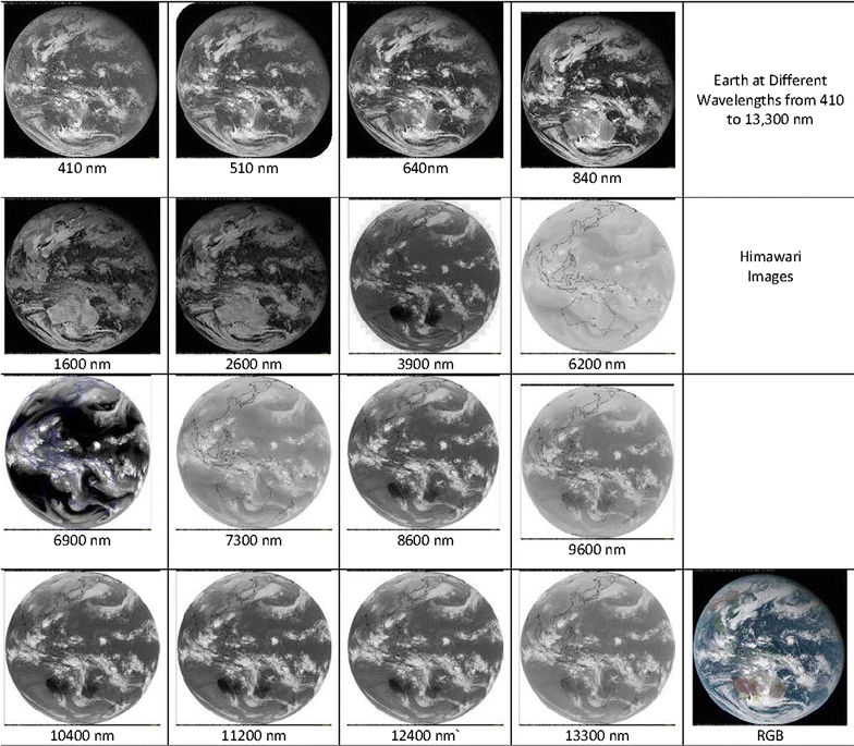 Fig. 1