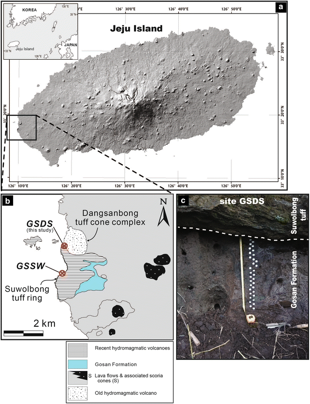 Fig. 1