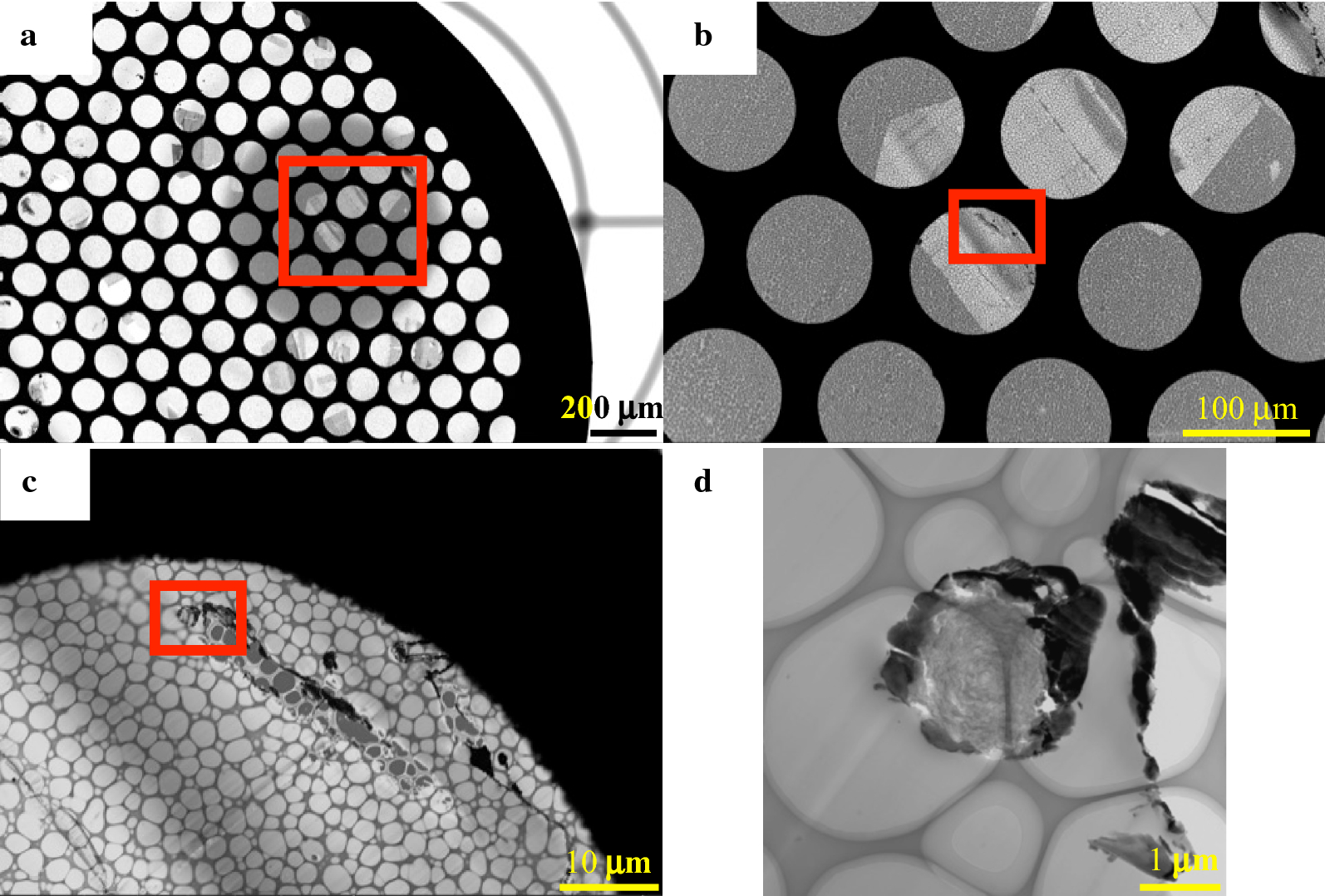 Fig. 3