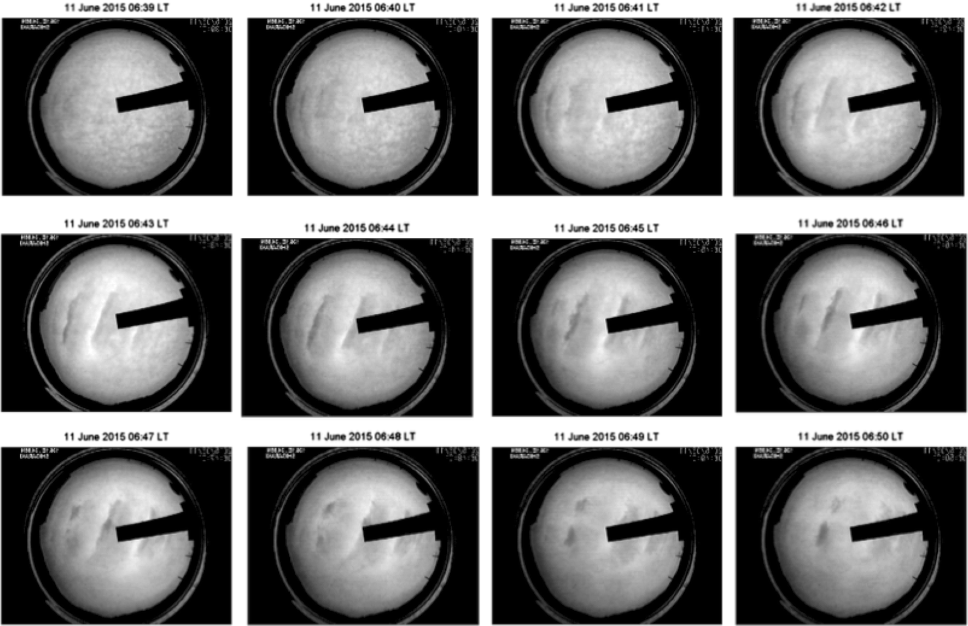 Fig. 10