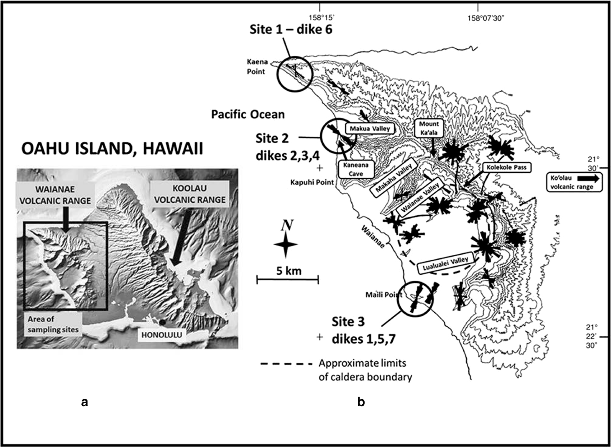 Fig. 1