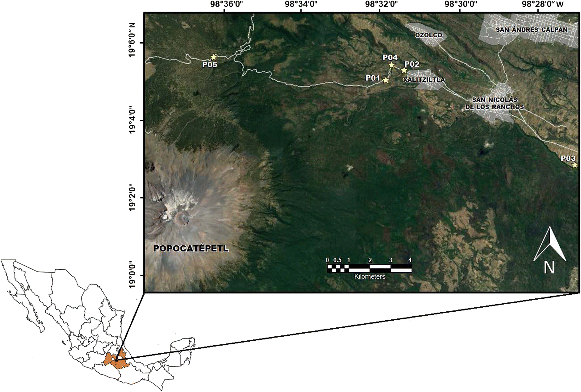 Fig. 1