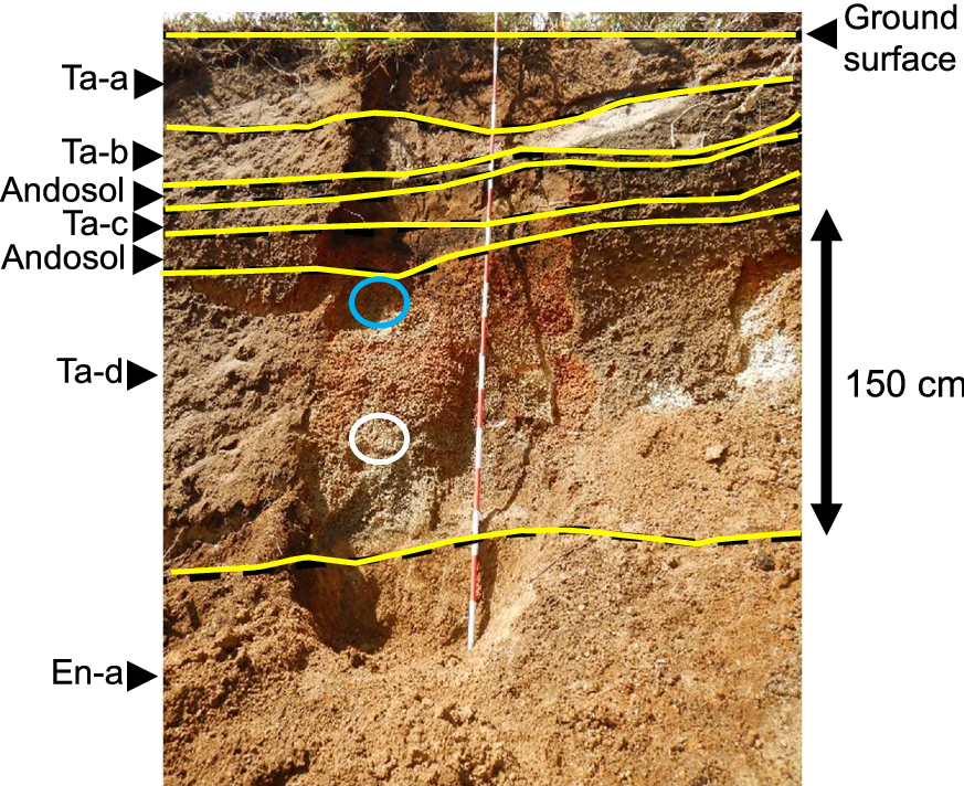 Fig. 7