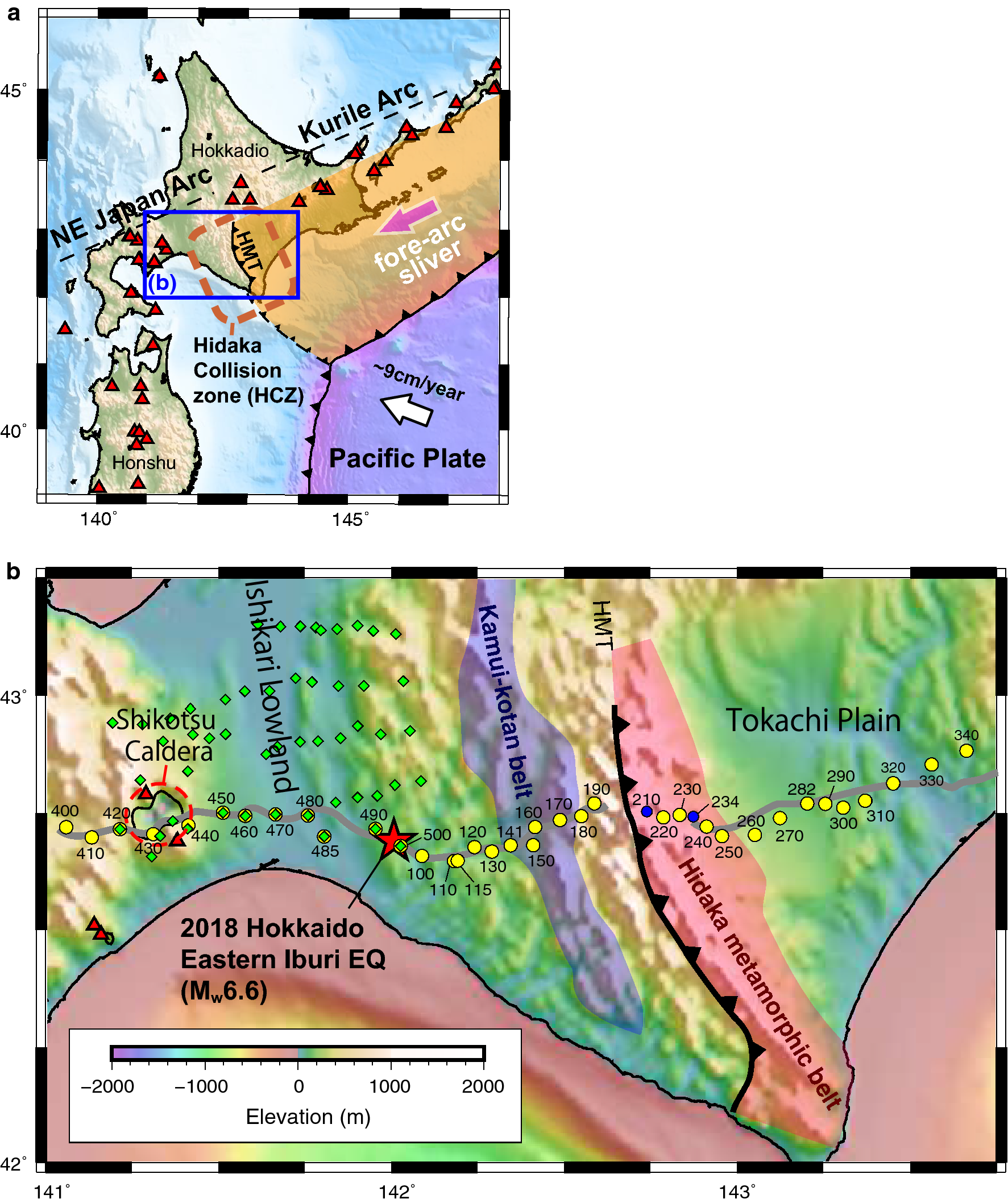 Fig. 1