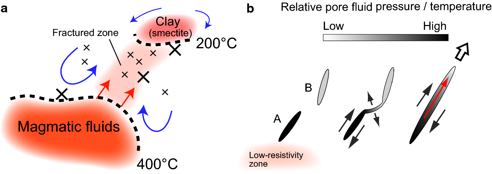 Fig. 5