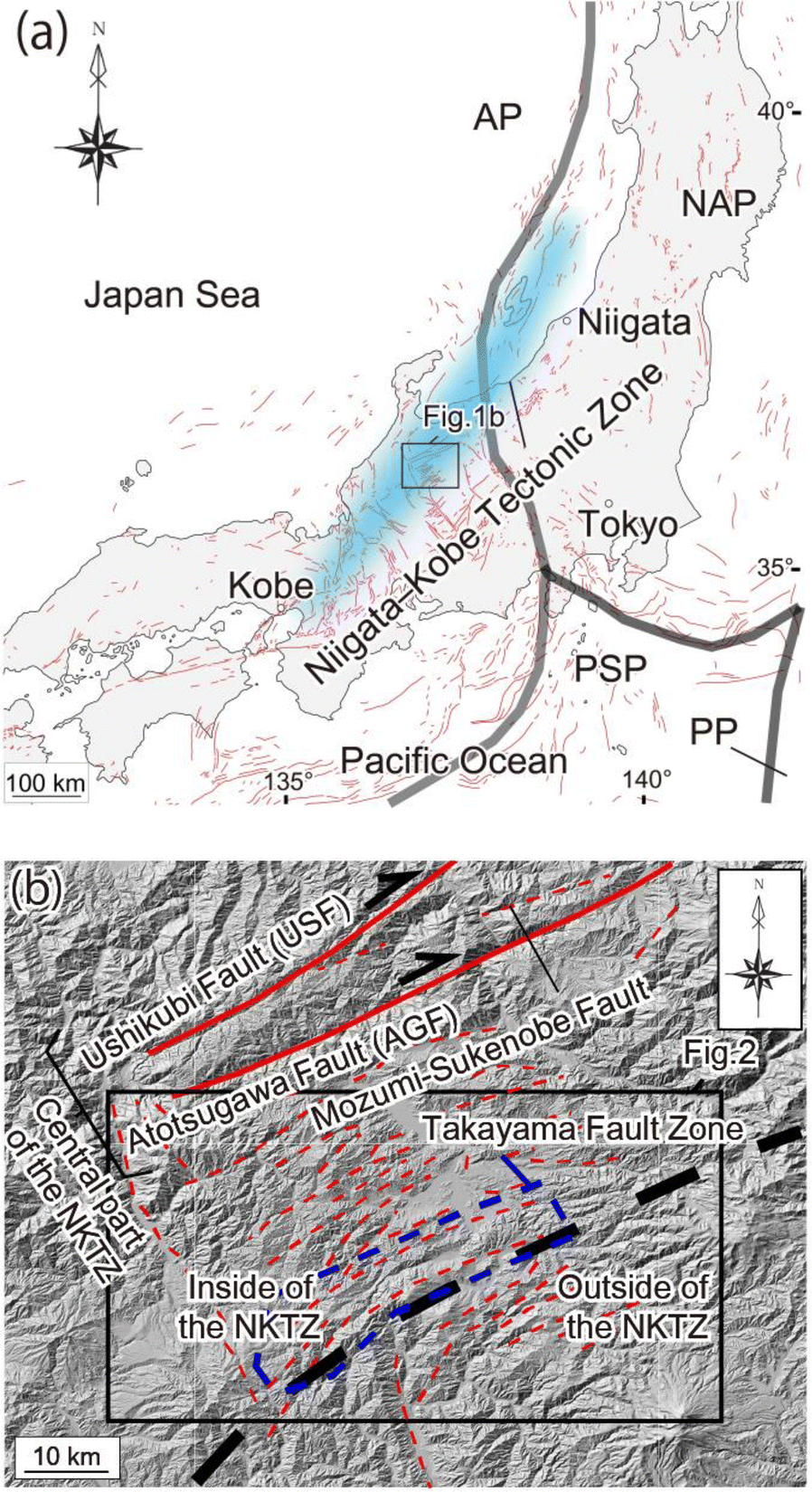 Fig. 1