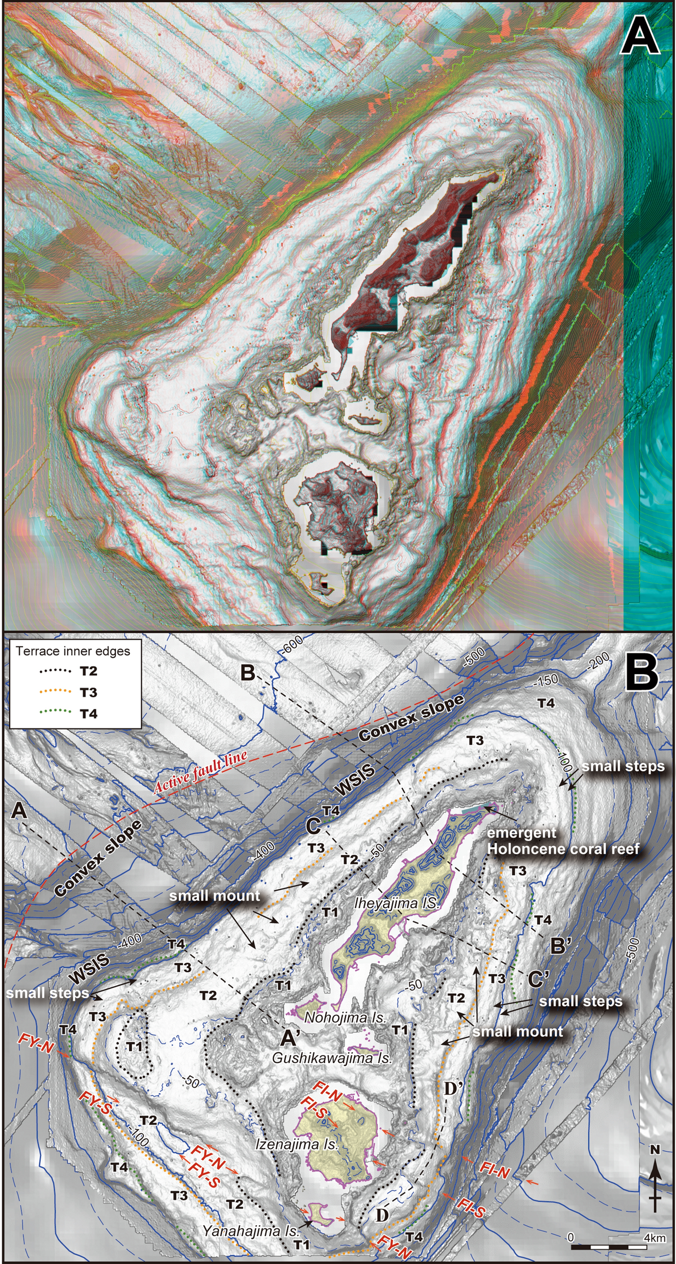 Fig. 2