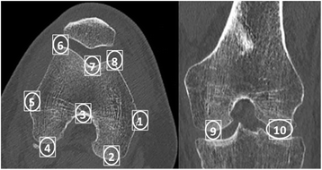 Fig. 2