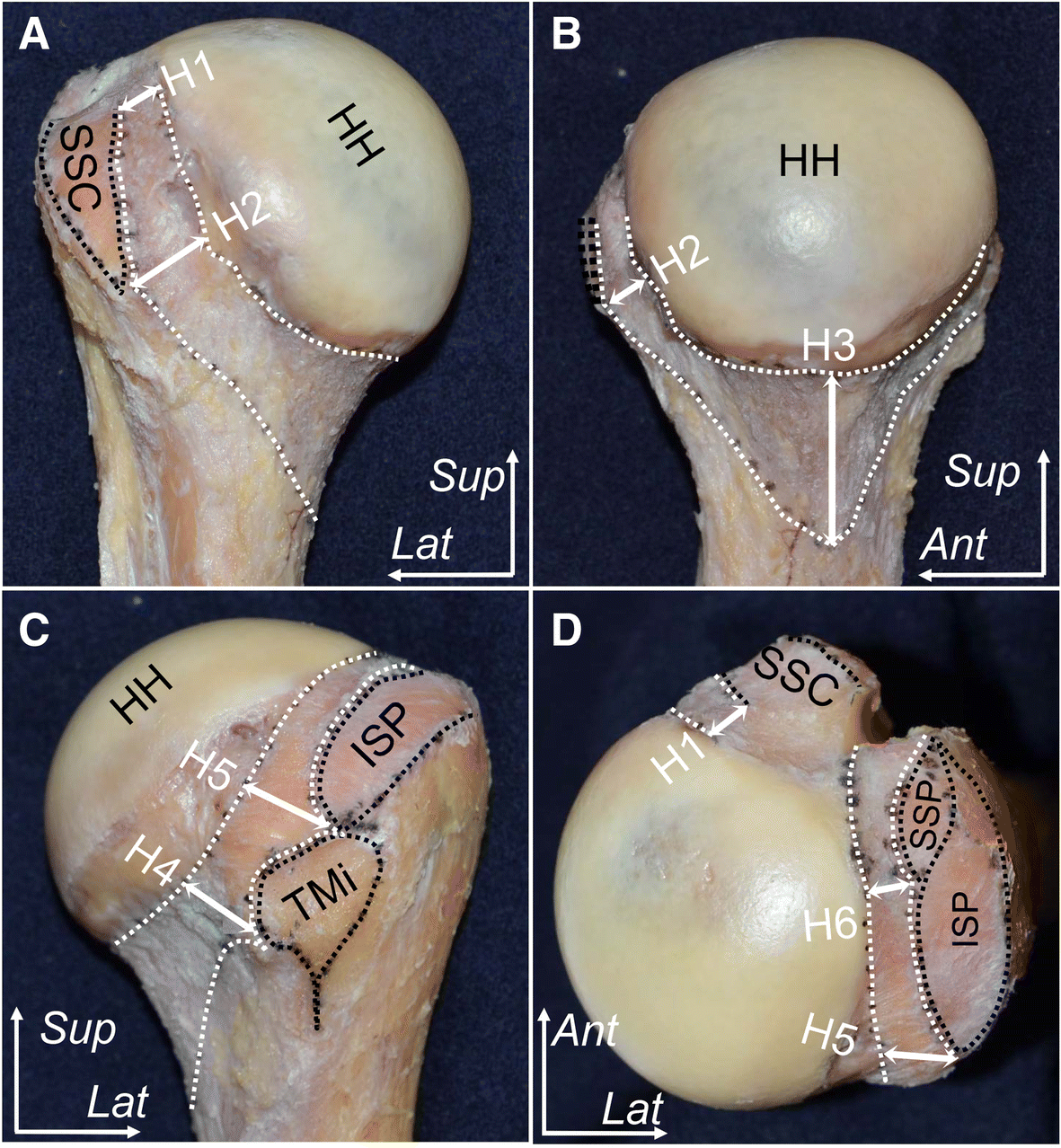 Fig. 5