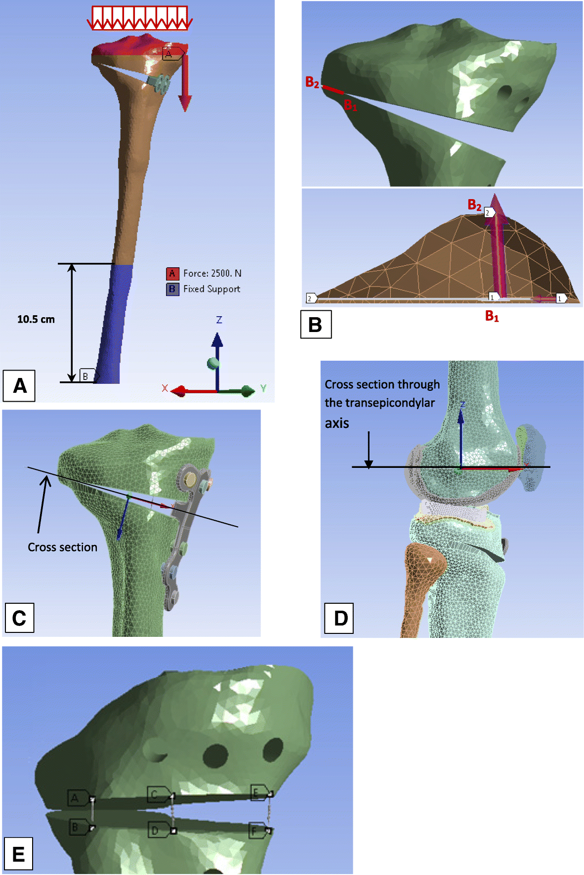 Fig. 2