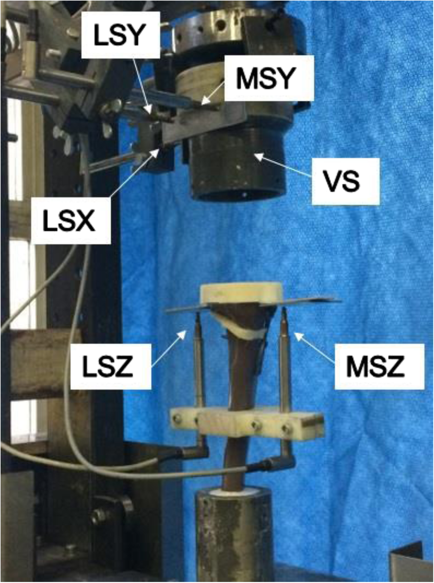 Fig. 2