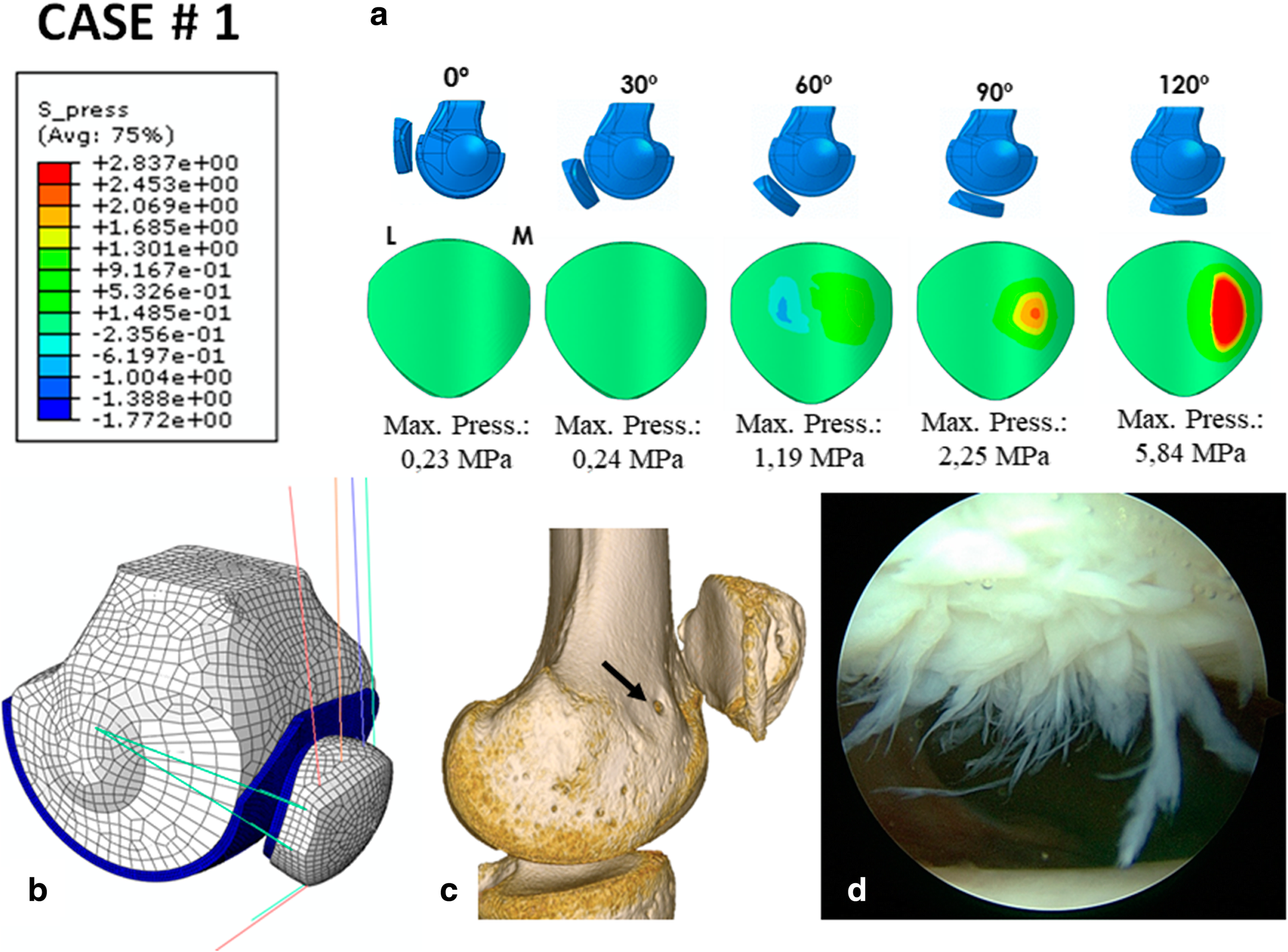 Fig. 4