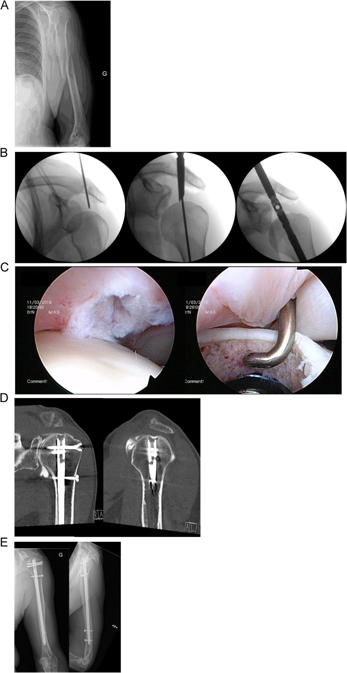 Fig. 5