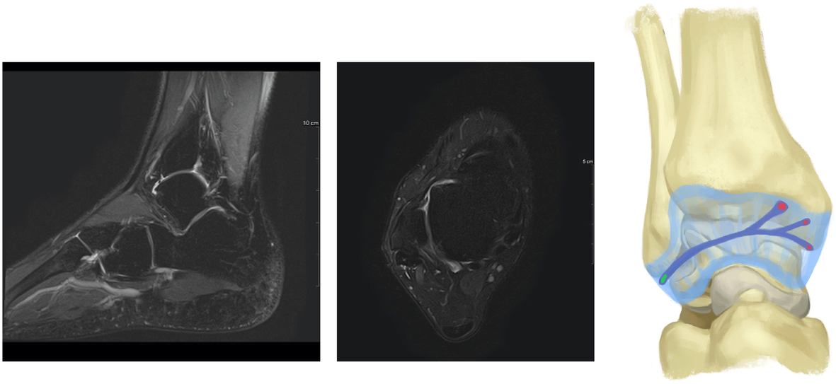 Fig. 5