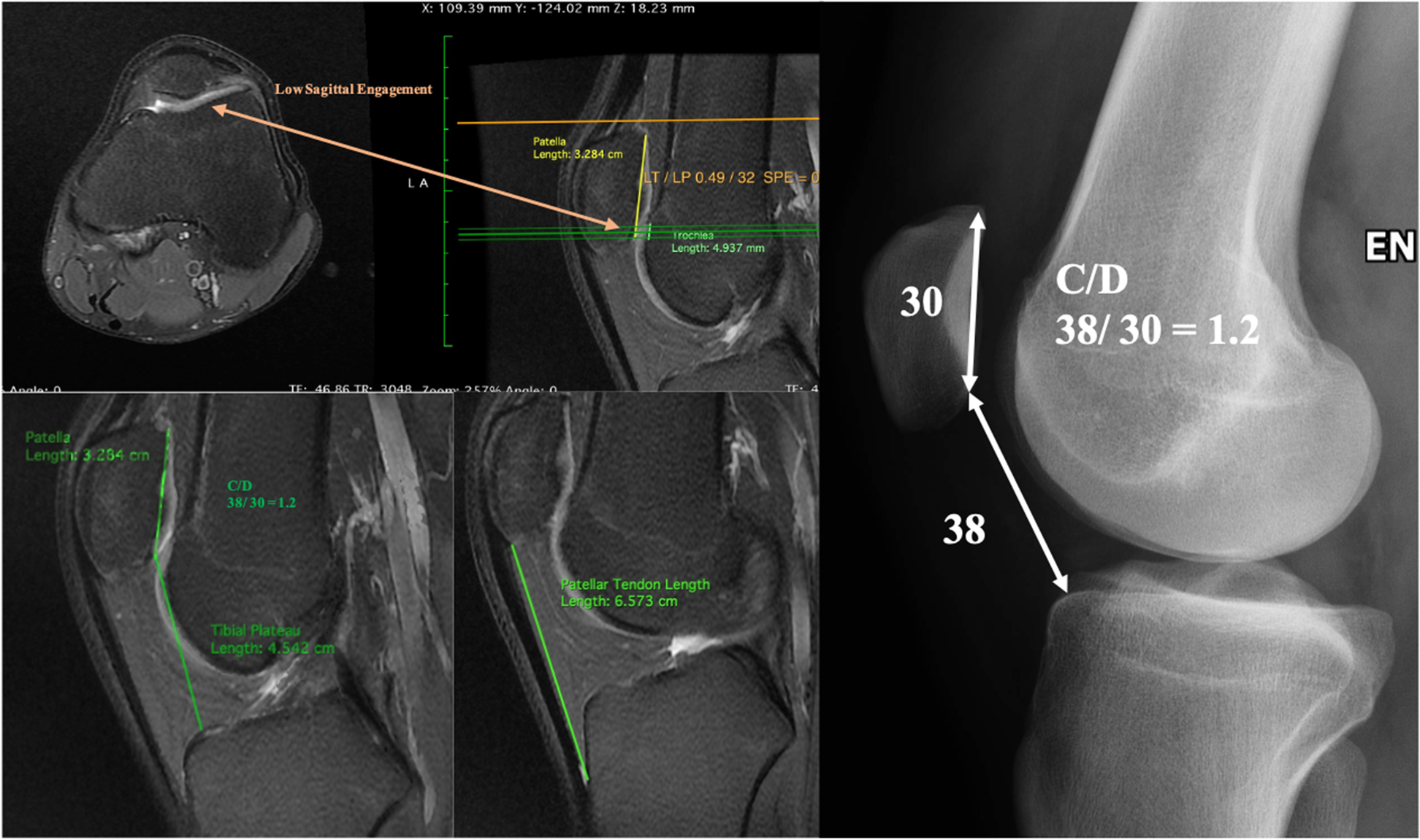 Fig. 4