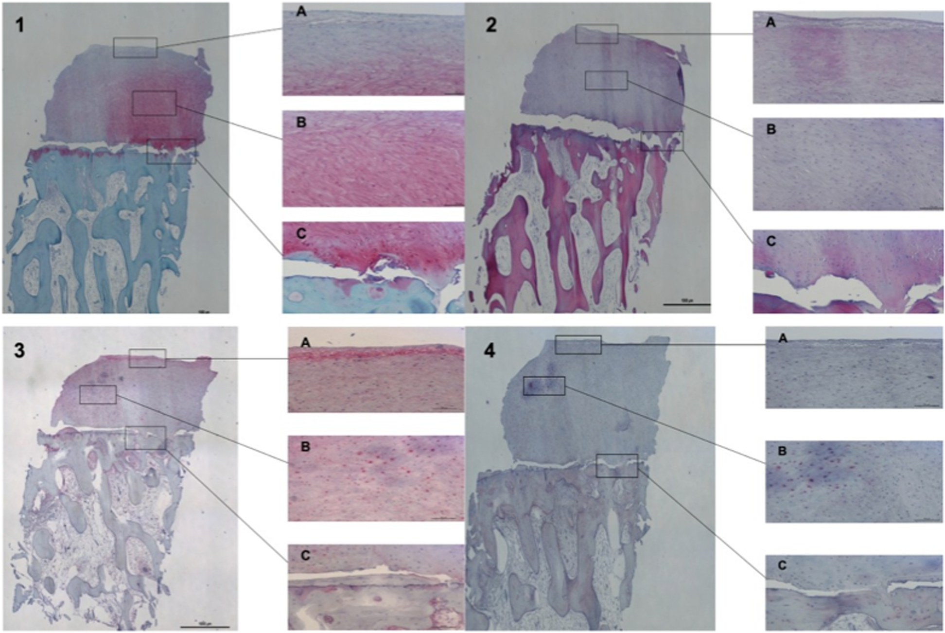 Fig. 13