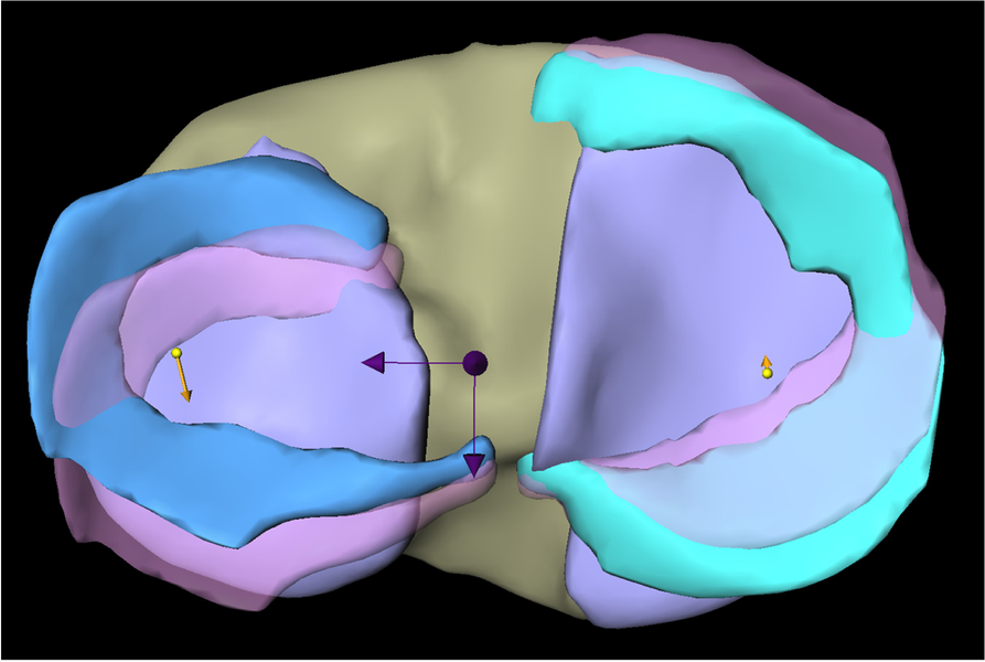 Fig. 3