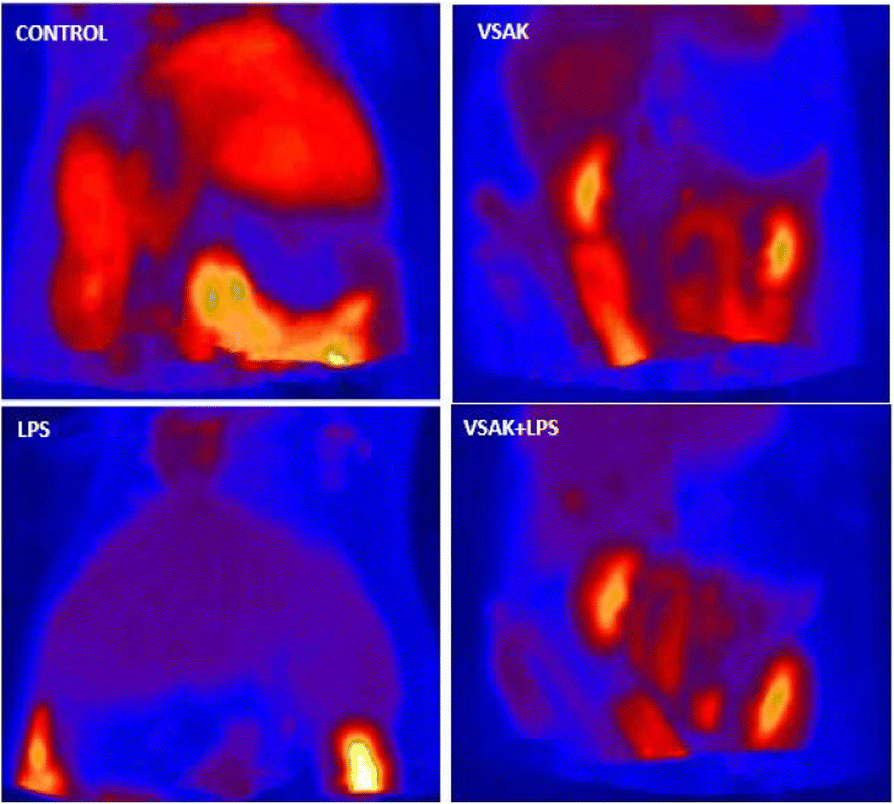 Fig. 1 (abstract P38).