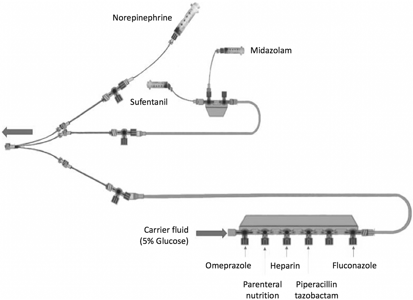 Fig. 1