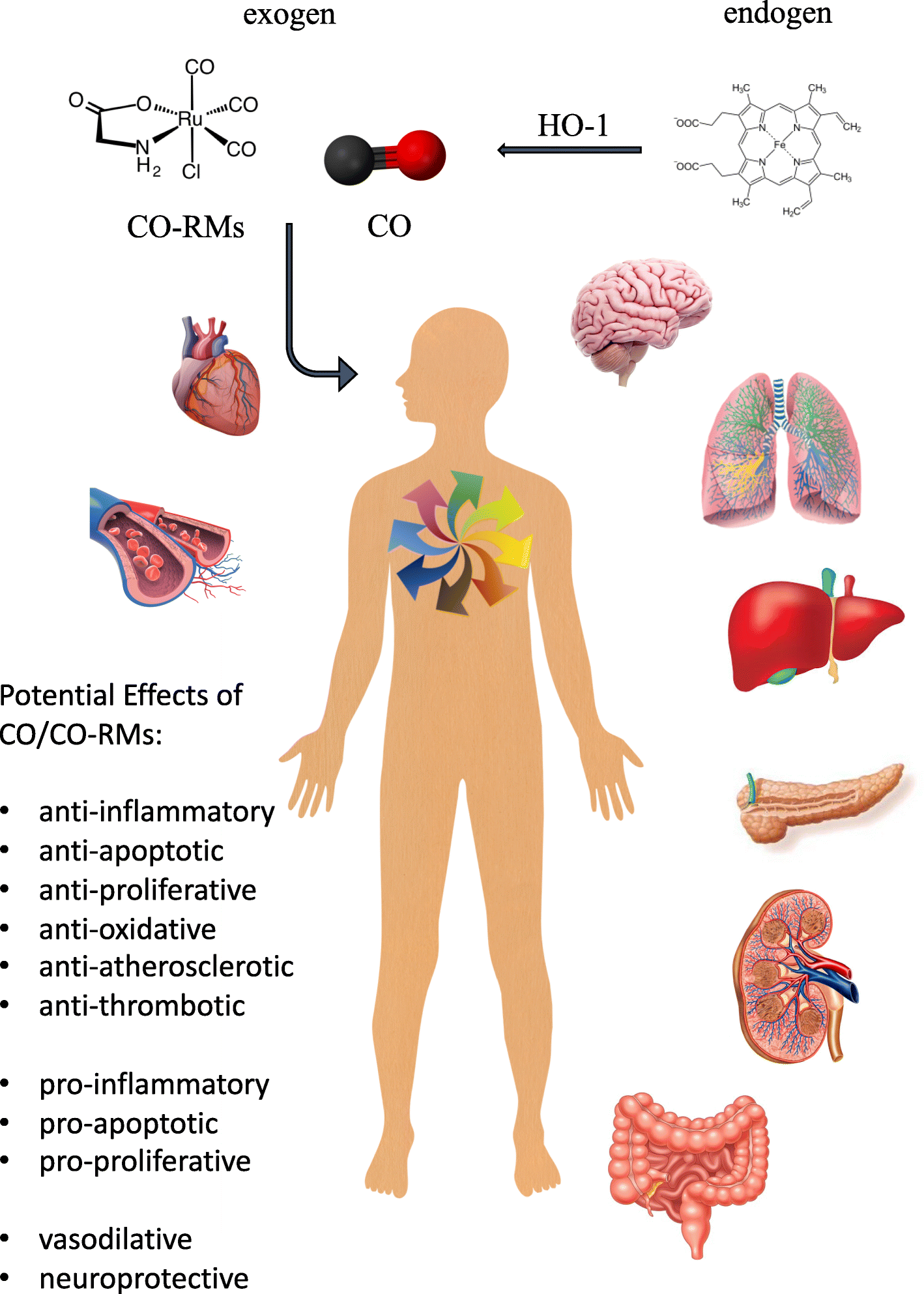 Fig. 1