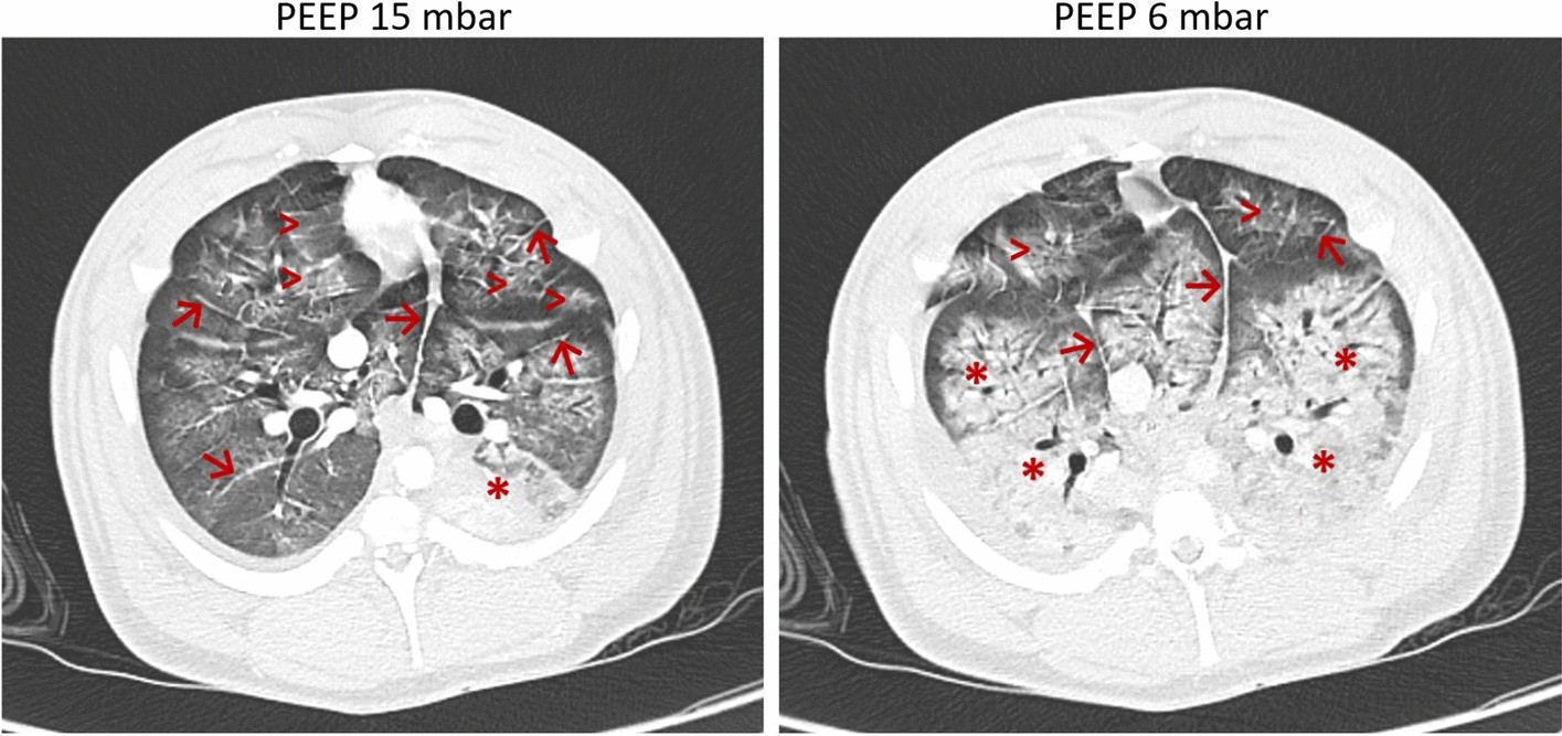 Fig. 7