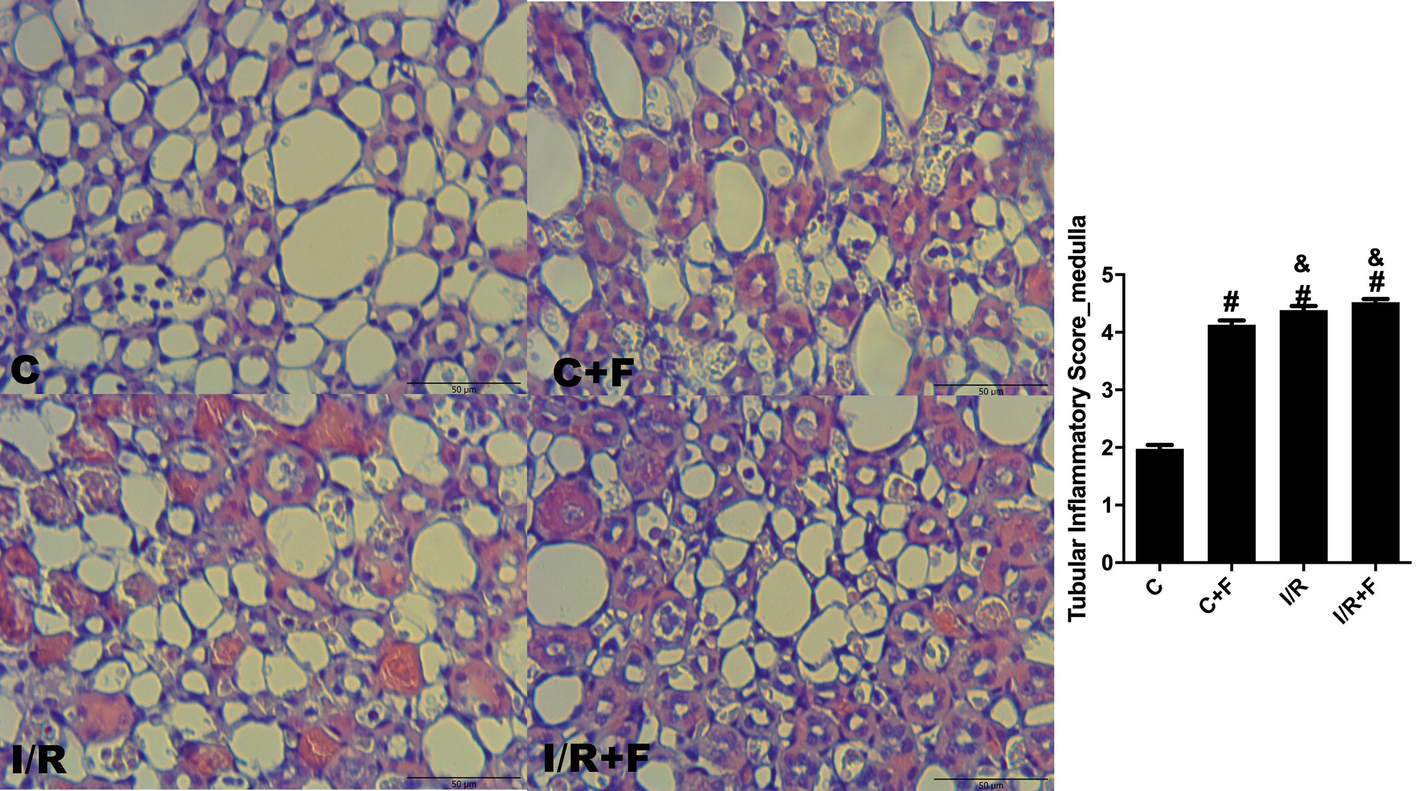 Fig. 11