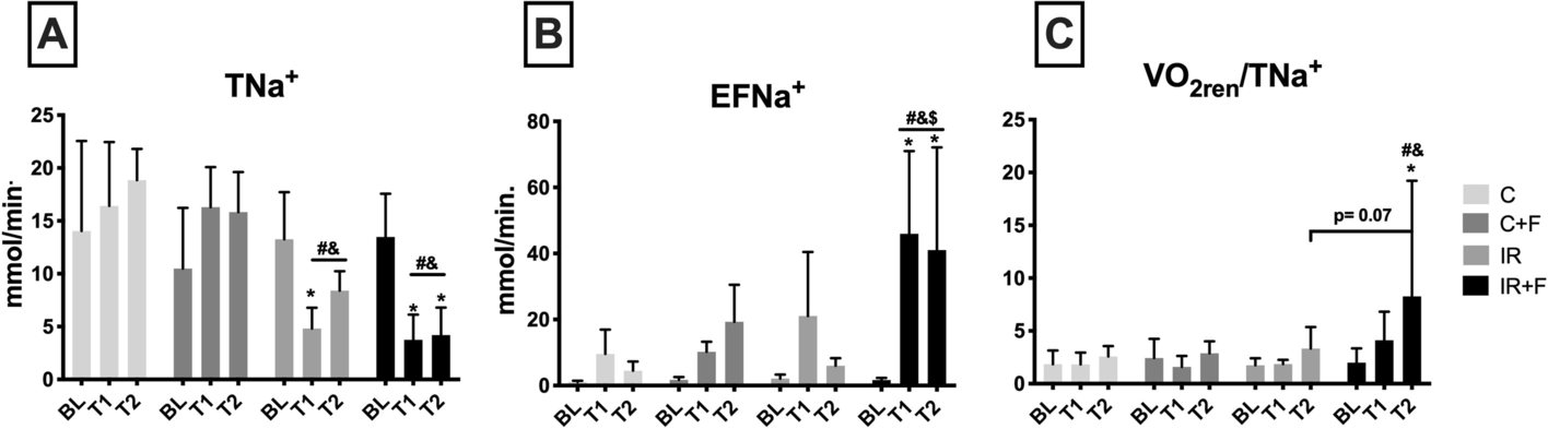 Fig. 6