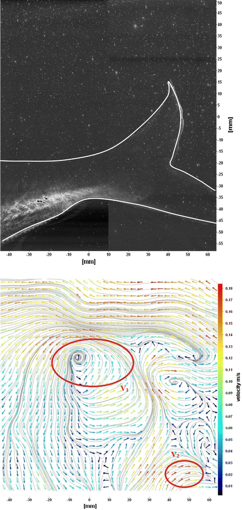 Fig. 10