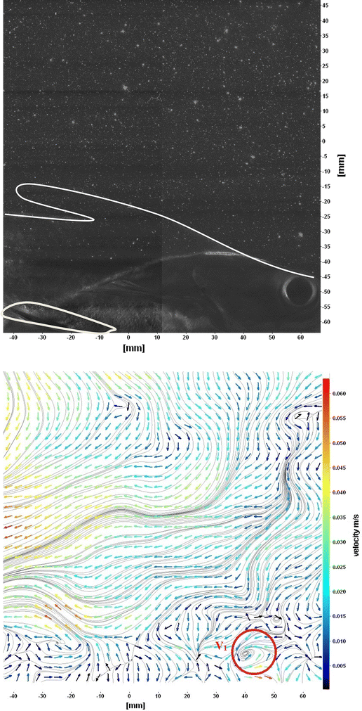 Fig. 12