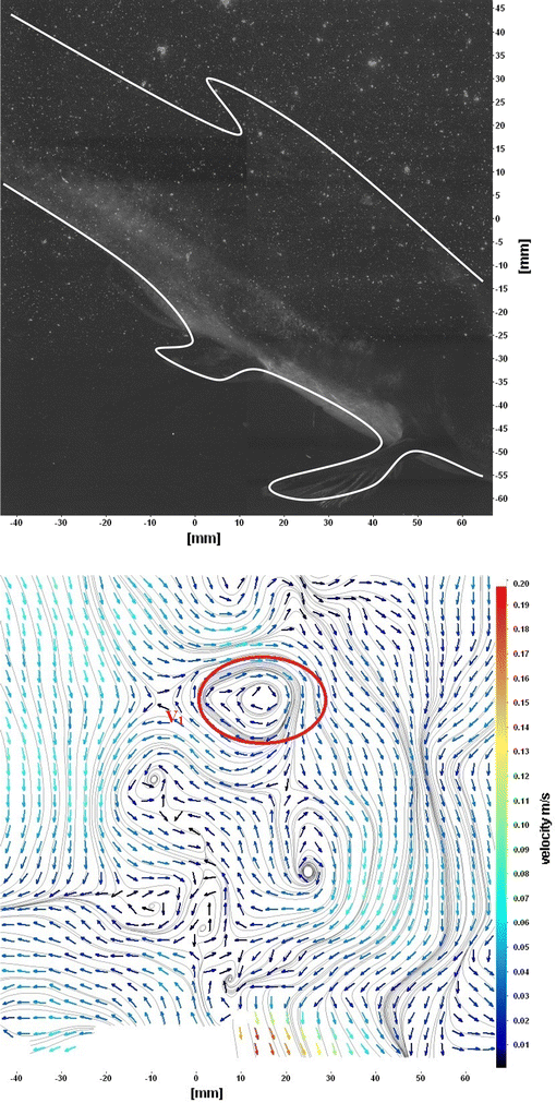 Fig. 13