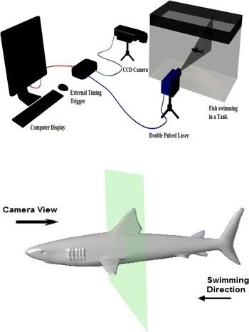 Fig. 4