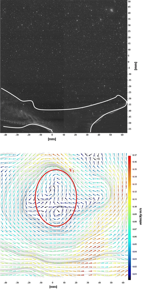 Fig. 9