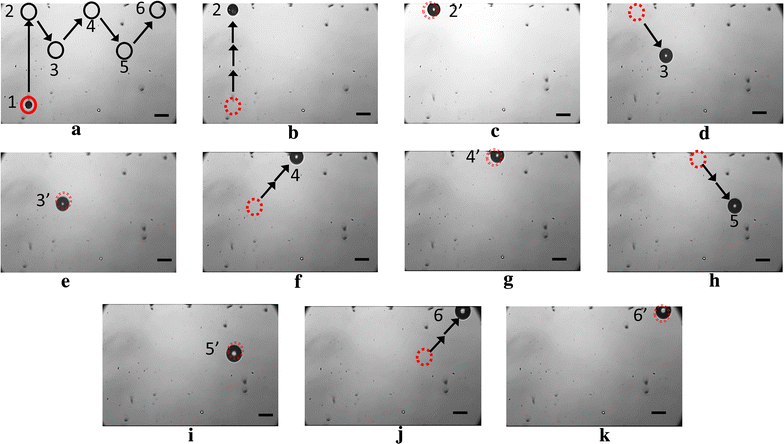 Fig. 3