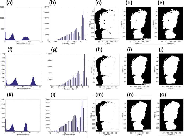 Fig. 9