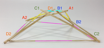 Fig. 20