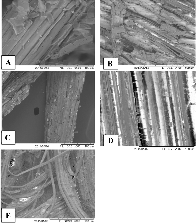 Fig. 12